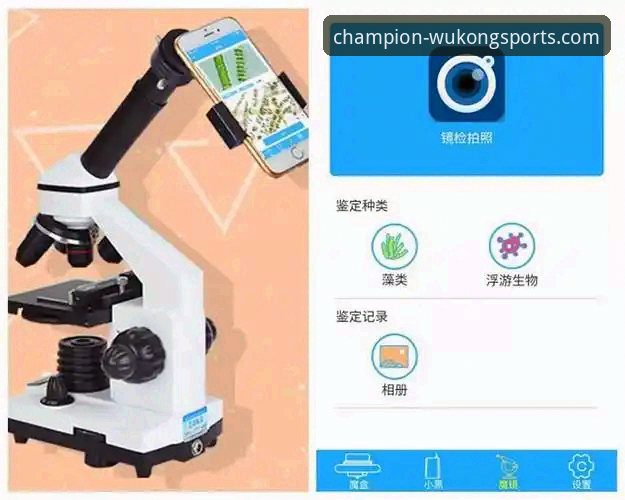 揭秘悟空体育app官方客服最新版：老用户亲测，这些事你可能真不知道